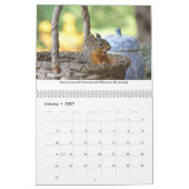 Levenslessen van Squiggy the Squirrel Calendar Kalender (Jan 2027)