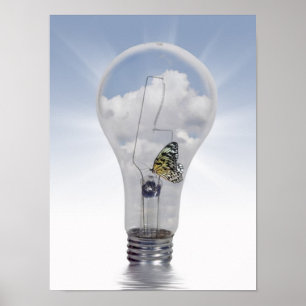 Levenslicht Poster