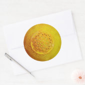 Levensloop / Blume des lebens - Ornament VII Ronde Sticker (Envelop)