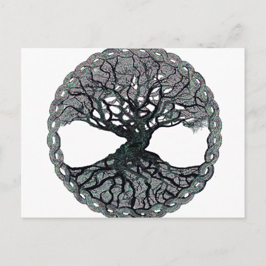 Levensloop Briefkaart (Voorkant)