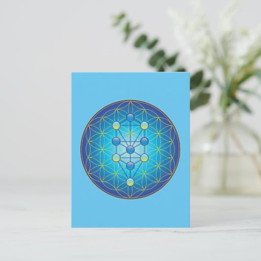 Levensloop Briefkaart (Staand voorkant)