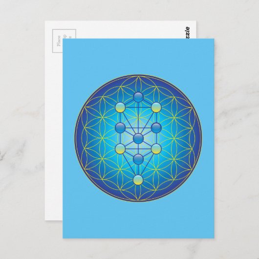 Levensloop Briefkaart (Voorkant / Achterkant)