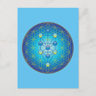 Levensloop Briefkaart