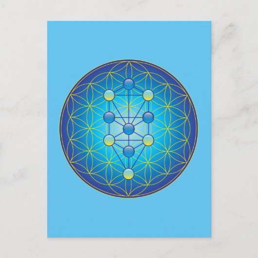 Levensloop Briefkaart (Voorkant)