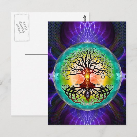 Levensloop Briefkaart (Voorkant / Achterkant)