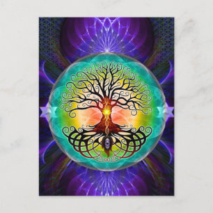 Levensloop Briefkaart