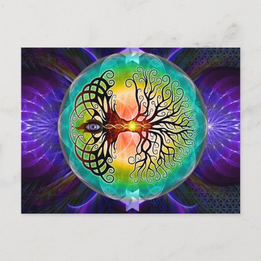 Levensloop Briefkaart (Voorkant)