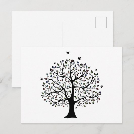 Levensloop Briefkaart (Voorkant / Achterkant)