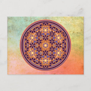 Levensloop - Button stijl 02 Briefkaart