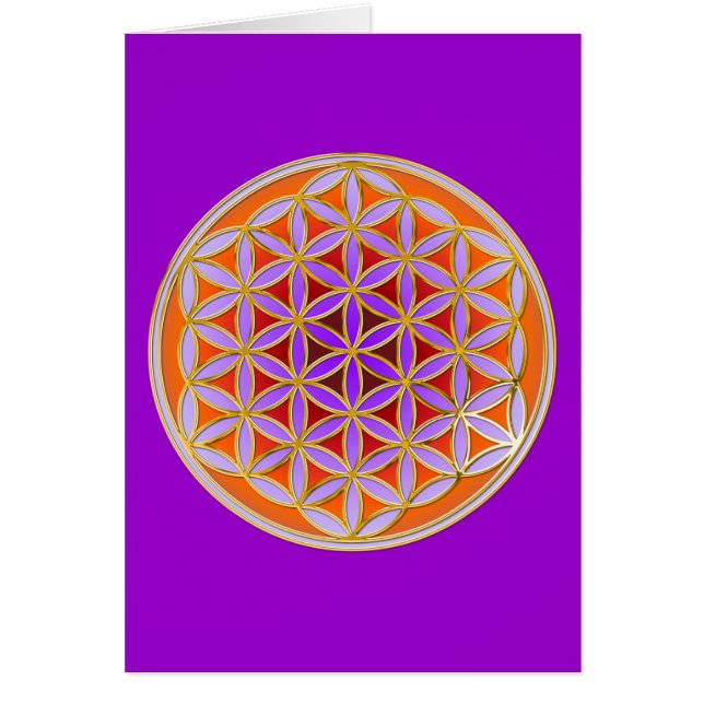Levensloop - Button stijl 04 (Voorkant)