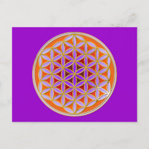 Levensloop - Button stijl 04 Briefkaart