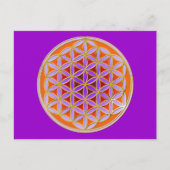 Levensloop - Button stijl 04 Briefkaart (Voorkant)