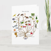 Levensloop Kaart (Voorkant)