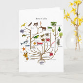 Levensloop Kaart (Gele Bloem)