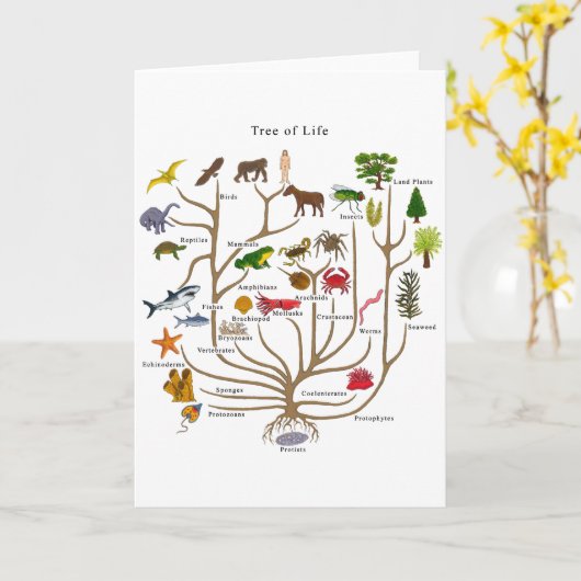 Levensloop Kaart (Gele Bloem)