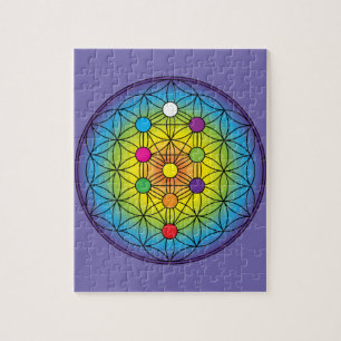 Levensloop Legpuzzel