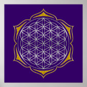 Levensloop - Lotus Silver Gold Poster (Voorkant)