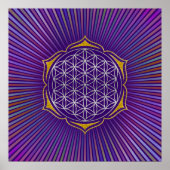 Levensloop - Lotus Silver Gold Poster (Voorkant)