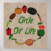 Levensloop Poster (Voorkant)