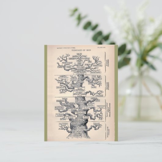 Levensloop / stamboom van Man Briefkaart (Staand voorkant)