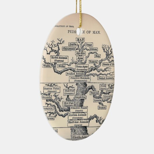 Levensloop / stamboom van Man Keramisch Ornament (Rechts)