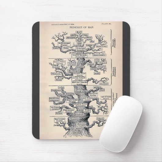 Levensloop / stamboom van Man Muismat (Met muis)