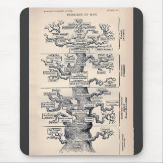 Levensloop / stamboom van Man Muismat