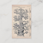 Levensloop / stamboom van Man Visitekaartje (Achterkant)