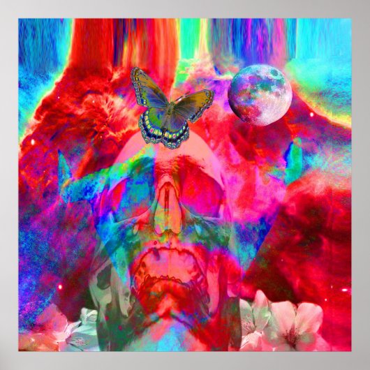 Levensmetamorfose Poster (Voorkant)