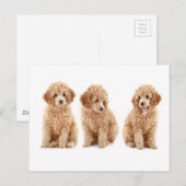 Levensmiddelen Briefkaart (Voorkant / Achterkant)