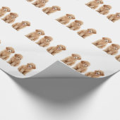 Levensmiddelen Cadeaupapier (Hoek)