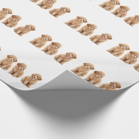 Levensmiddelen Cadeaupapier (Hoek)