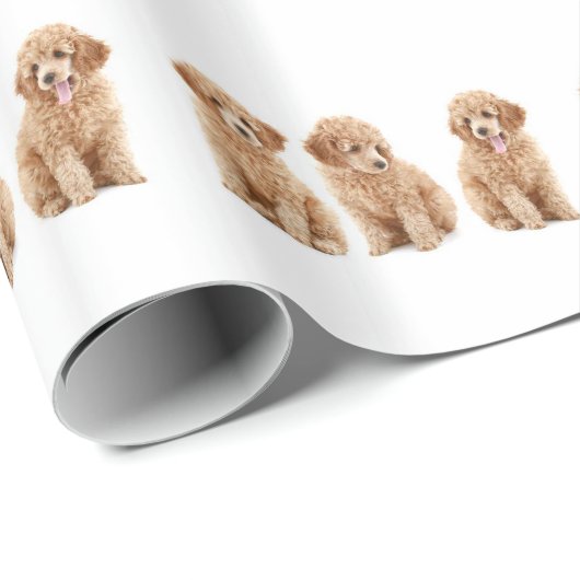 Levensmiddelen Cadeaupapier (Rol Hoek)