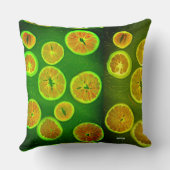 Levensmiddelen Kussen (Achterkant)