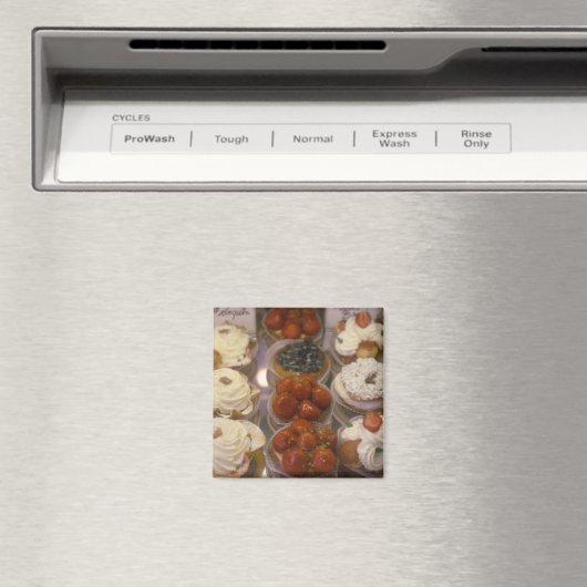 Levensmiddelen Magneet (Insitu (Vaatwasser))