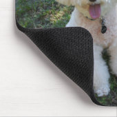 Levensmiddelen Muismat (Hoek)