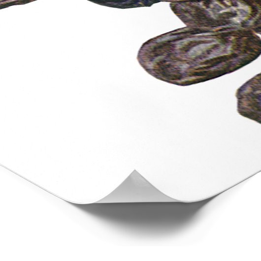  levensmiddelen, noten en amandelen, vruchten en n poster (Hoek)