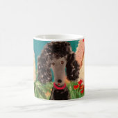 Levensmiddelen op Mok (Center)