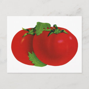 levensmiddelen, organisch rood ripe tomato briefkaart