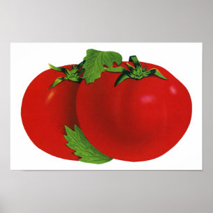  levensmiddelen, organisch rood ripe tomato poster
