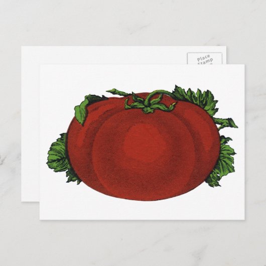  levensmiddelen, rijpe tomaten, groenten en fruit briefkaart (Voorkant / Achterkant)
