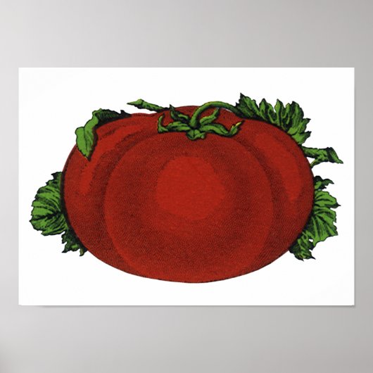 levensmiddelen, rijpe tomaten, groenten en fruit poster (Voorkant)
