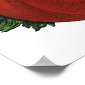 levensmiddelen, rijpe tomaten, groenten en fruit poster (Hoek)