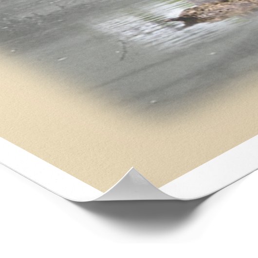 Levensmiddelen van Louisiana Poster (Hoek)