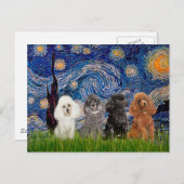 Levensmiddelen (vier) - Sterrennacht Briefkaart (Voorkant / Achterkant)