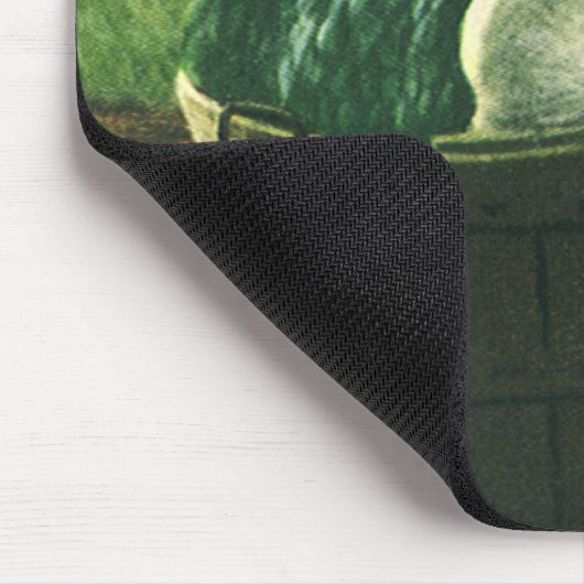  levensmiddelen, Winterpompoenen, pompoenen en app Muismat (Hoek)