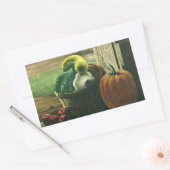 levensmiddelen, Winterpompoenen, pompoenen en app Rechthoekige Sticker (Envelop)