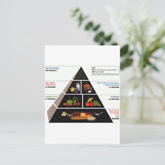 Levensmiddelenpiramide Briefkaart (Staand voorkant)