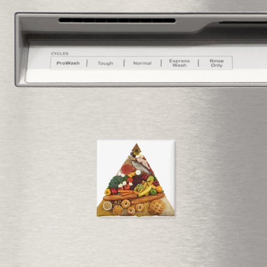 Levensmiddelenpiramide Magneet (Insitu (Vaatwasser))