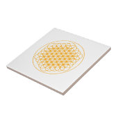 LEVENSSECERAMISCHE TIL PER DMT TEGELTJE (Zijkant)